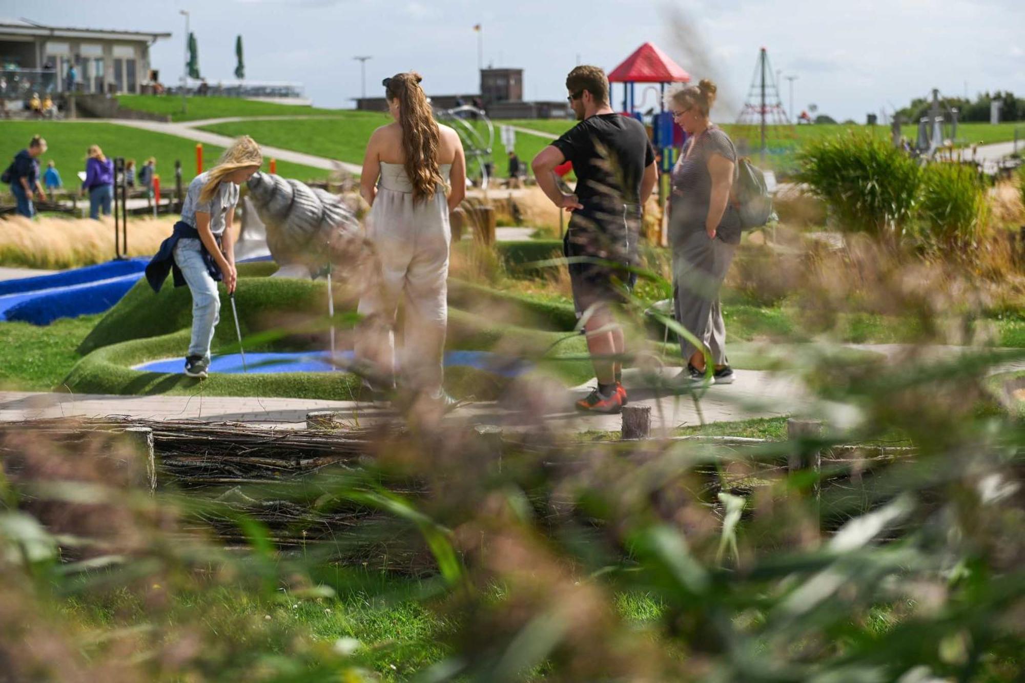 Tiny House Pioneer 18 Zur Meerseite - Green Tiny Village Harlesiel Carolinensiel Extérieur photo